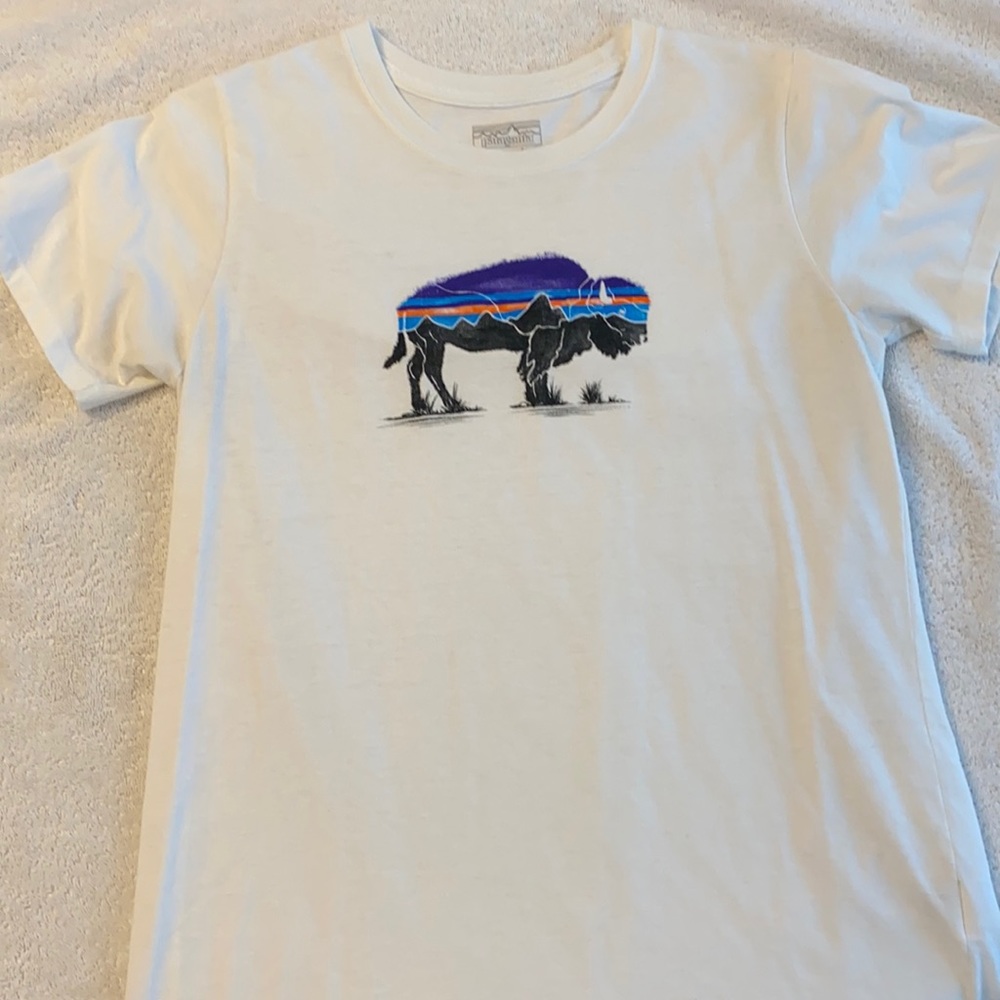 Patagonia shirt